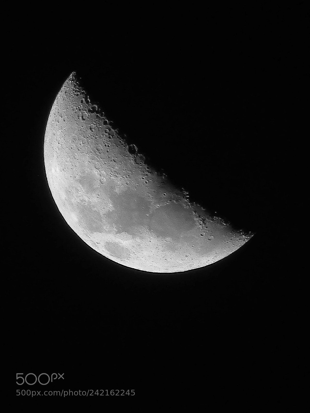 Canon PowerShot SX400 IS sample photo. Untitled photography