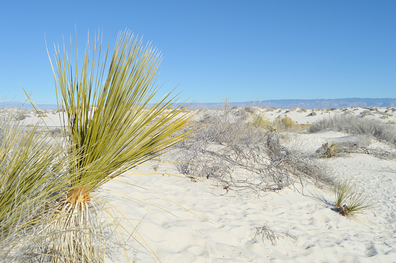 Nikon D3200 sample photo. White sands national park photography