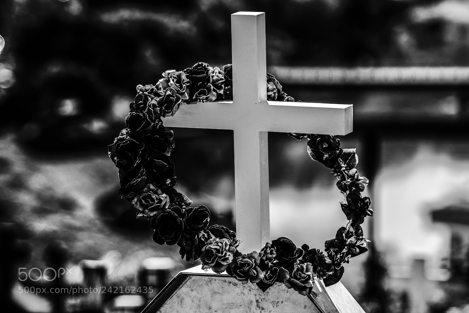 Nikon D500 sample photo. Beautiful detail in the photography