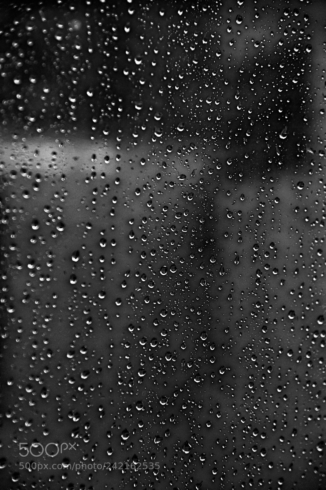 Nikon D5 sample photo. Abstract photography
