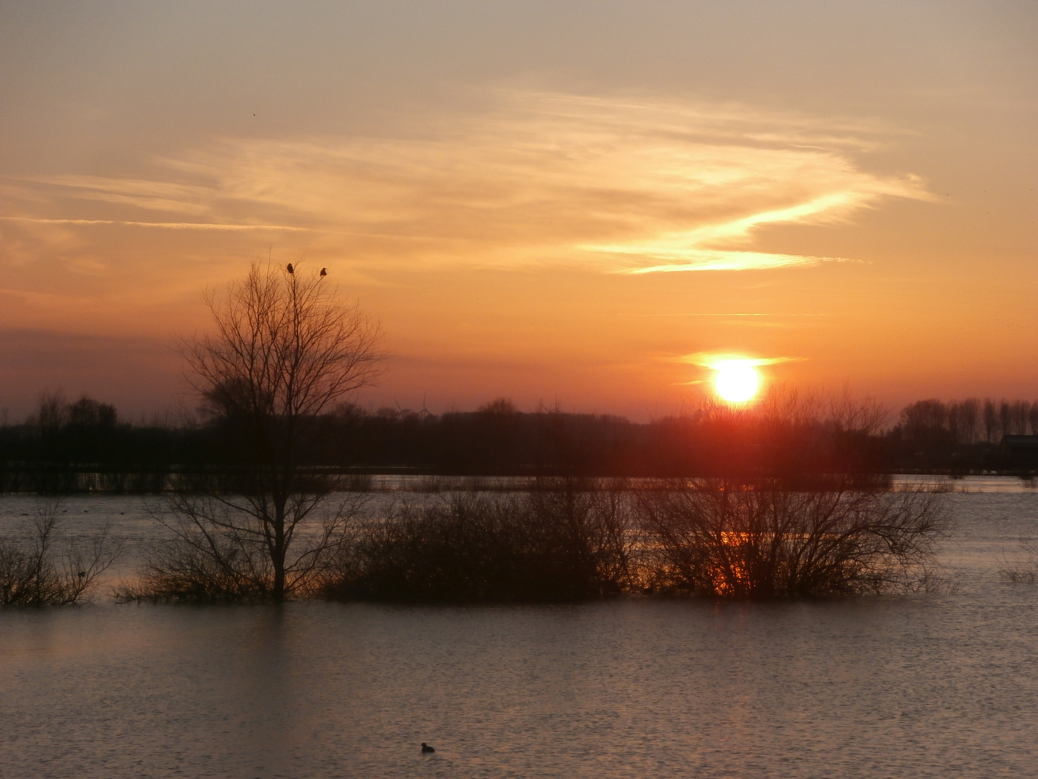 Olympus VR340,D750 sample photo. Sunset near doesburg. photography