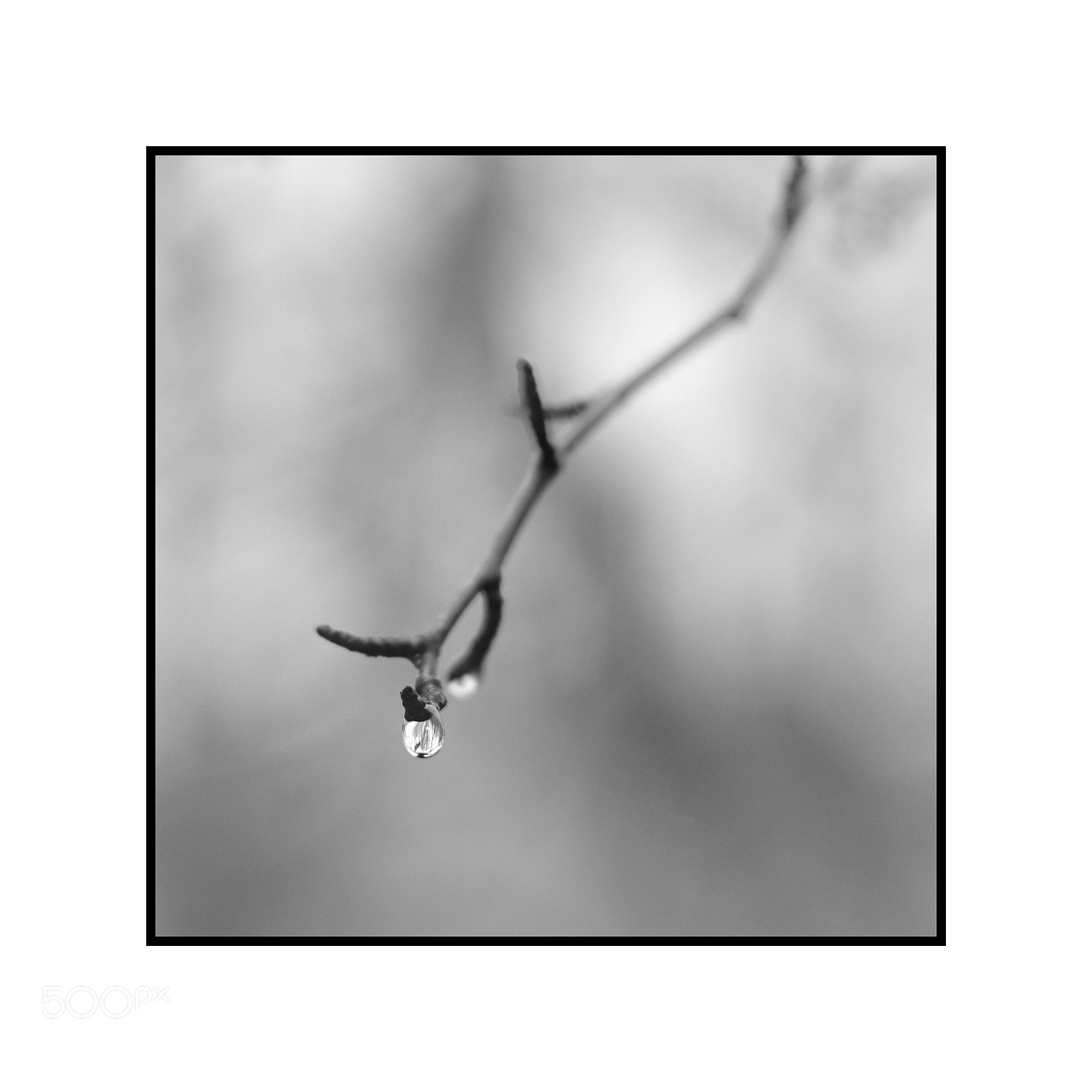 Fujifilm X-Pro2 sample photo. Water droplet lens helios photography