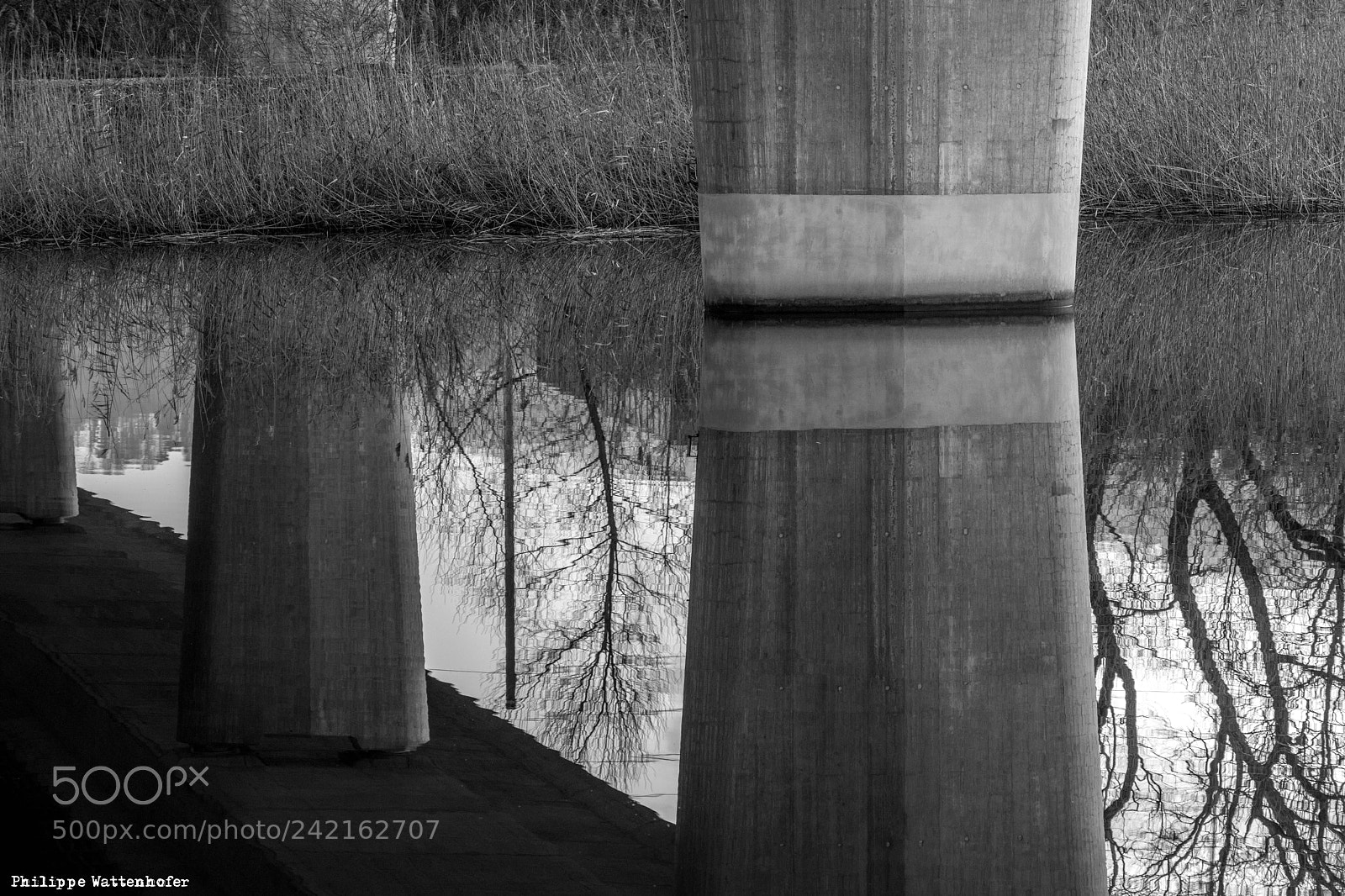 Nikon D850 sample photo. 39608091342.jpg photography
