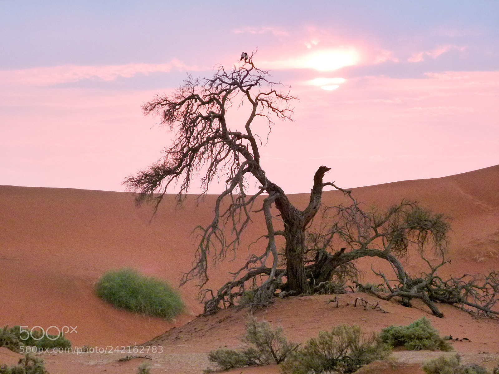Panasonic Lumix DMC-FZ100 sample photo. Sundown over the namib photography