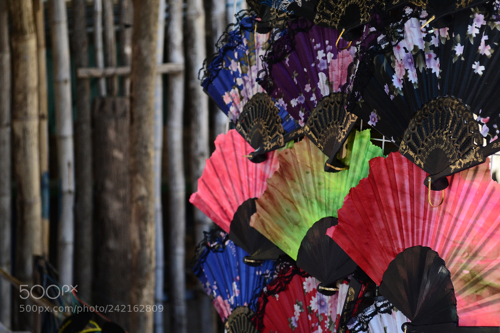Nikon D3100 sample photo. Untitled photography