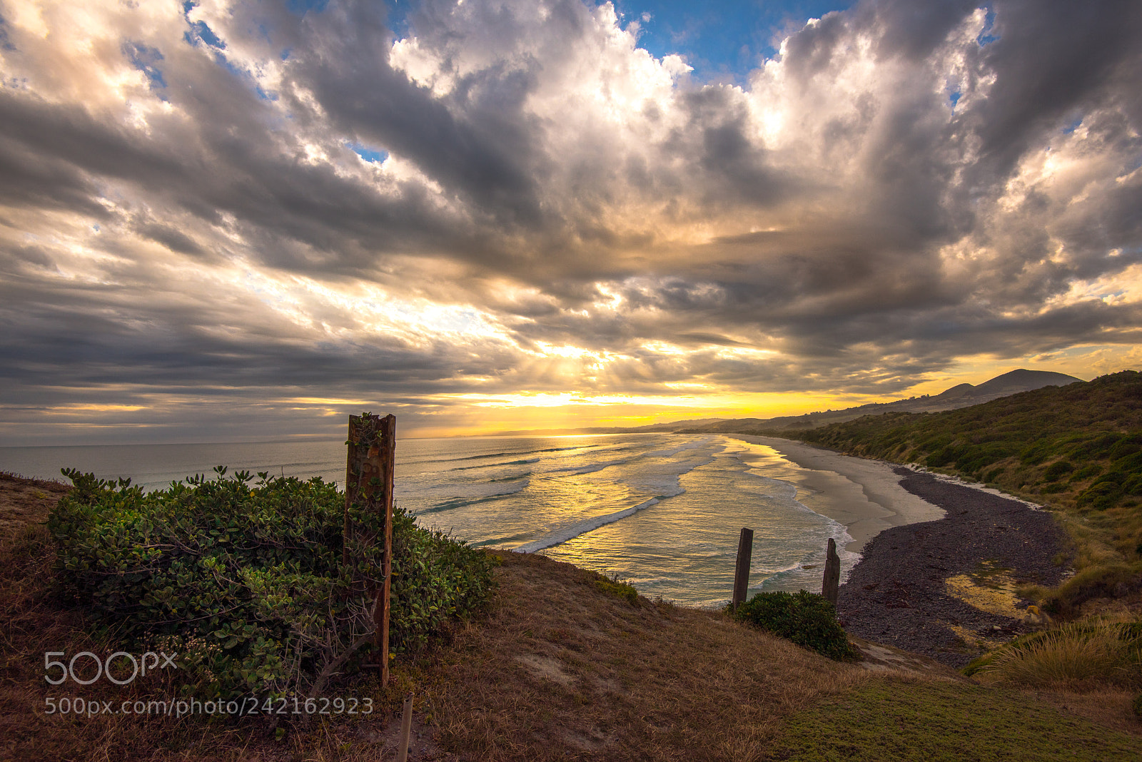 Nikon D810 sample photo. Blackhead beach photography
