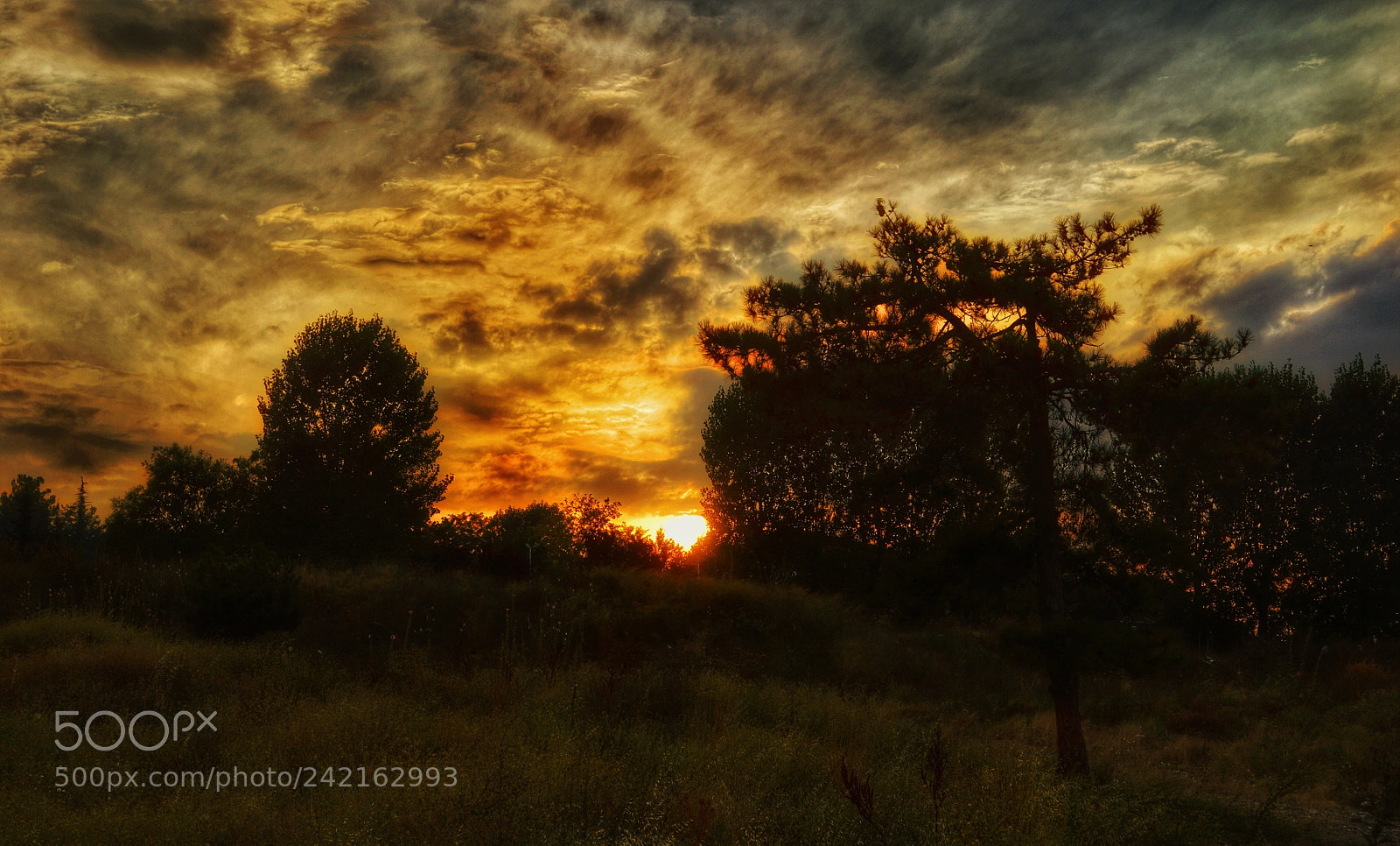 Nikon D3200 sample photo. Sunset photography