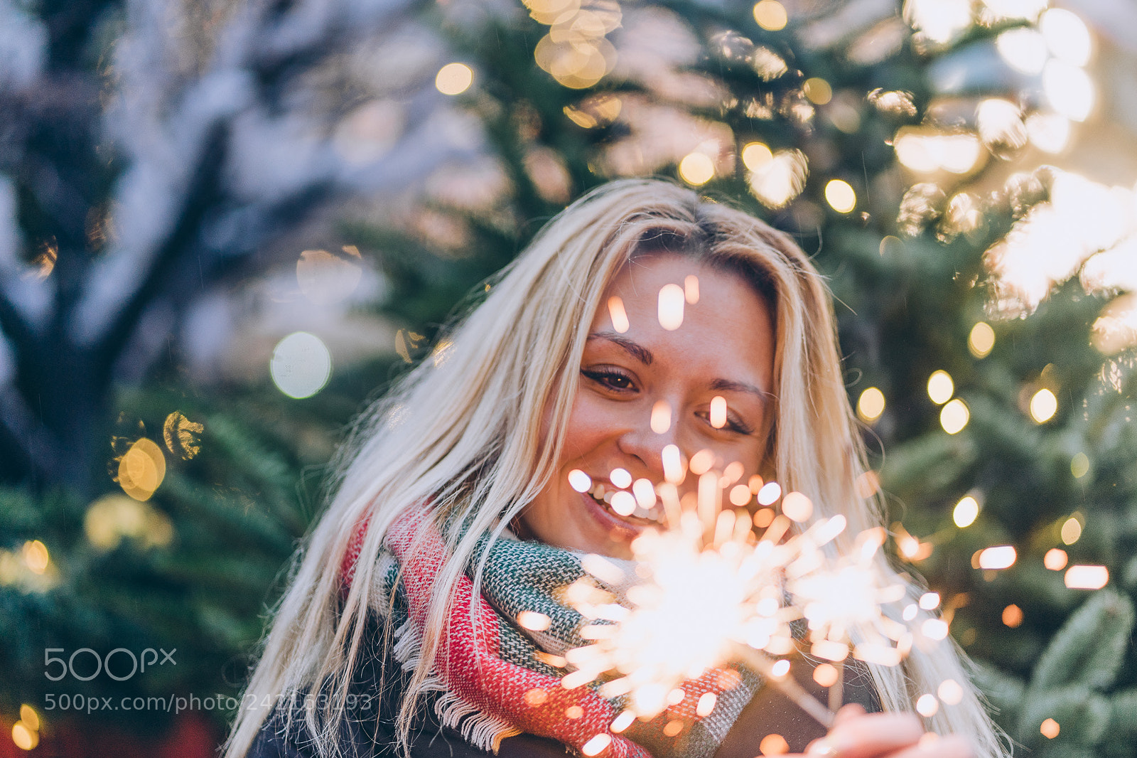 Sony a7 II sample photo. Untitled photography