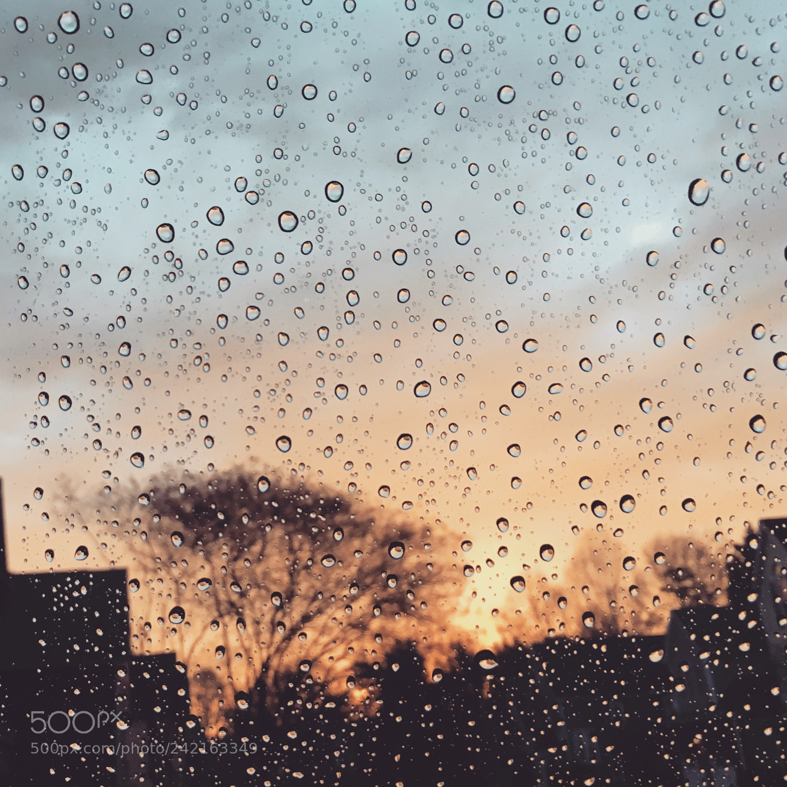 Apple iPhone 6s sample photo. Remnants of rain photography