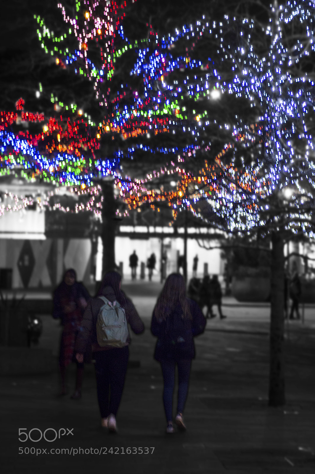 Nikon D3200 sample photo. Christmas light trees photography