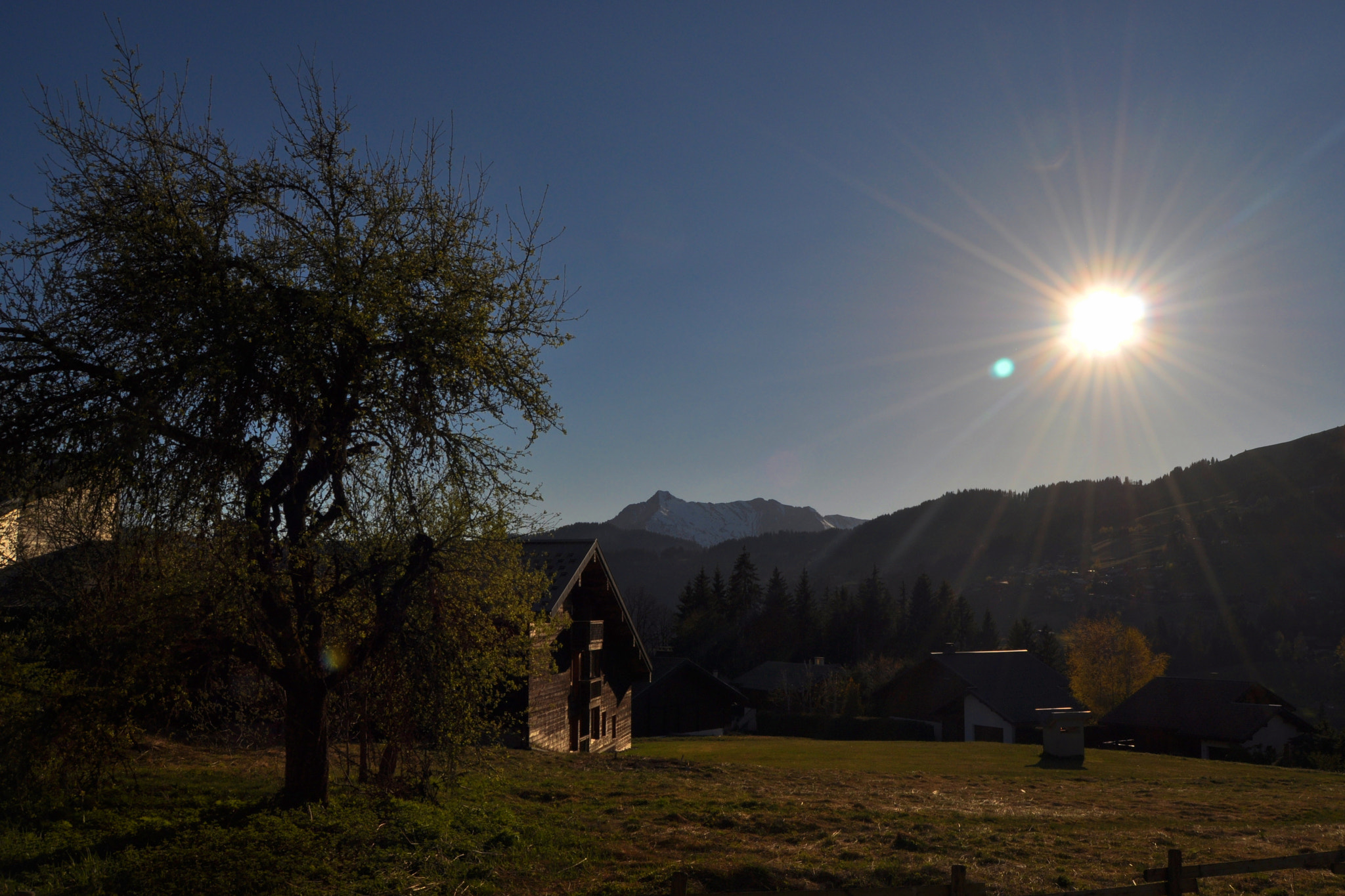 Nikon D5000 sample photo. Sun photography