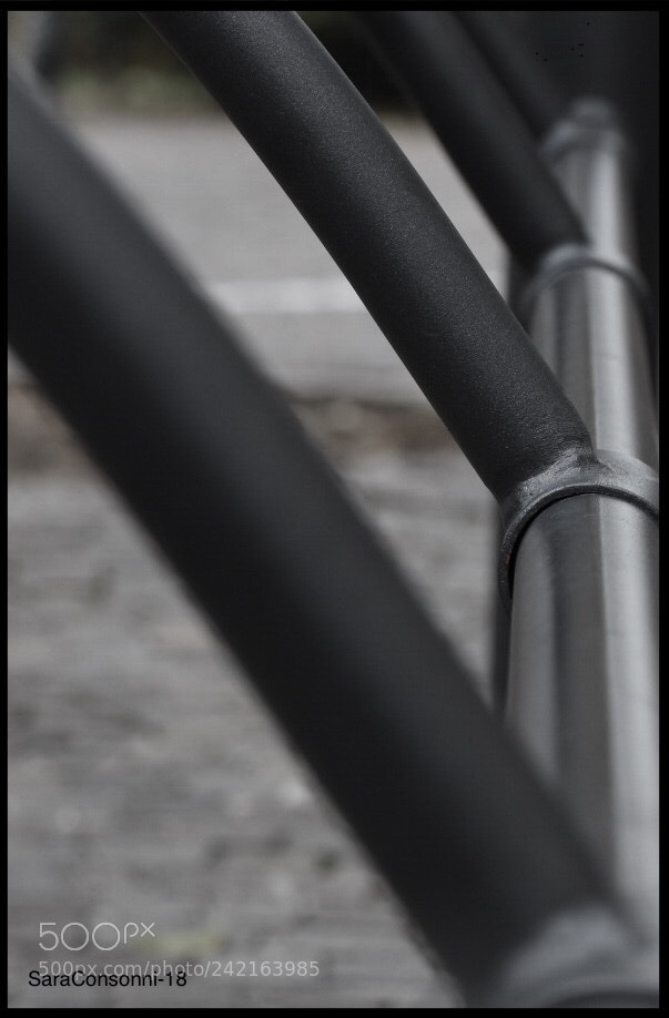 Nikon D7200 sample photo. Portabici photography