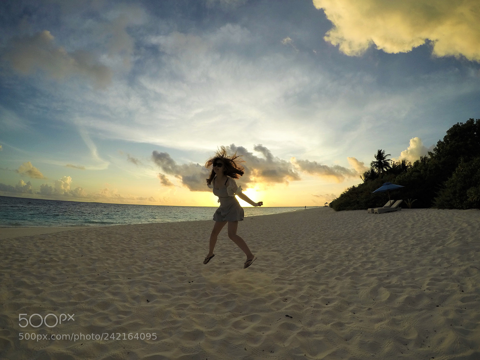 GoPro Hero5 Black sample photo. My queen ? photography
