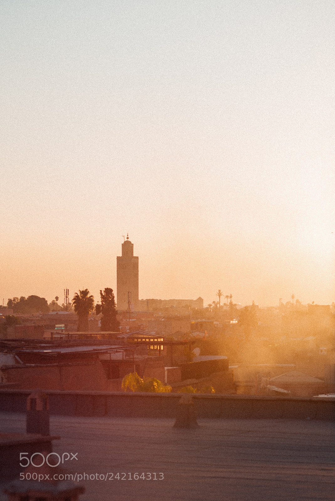 Leica M (Typ 240) sample photo. Marrakech, decembre 2017 photography