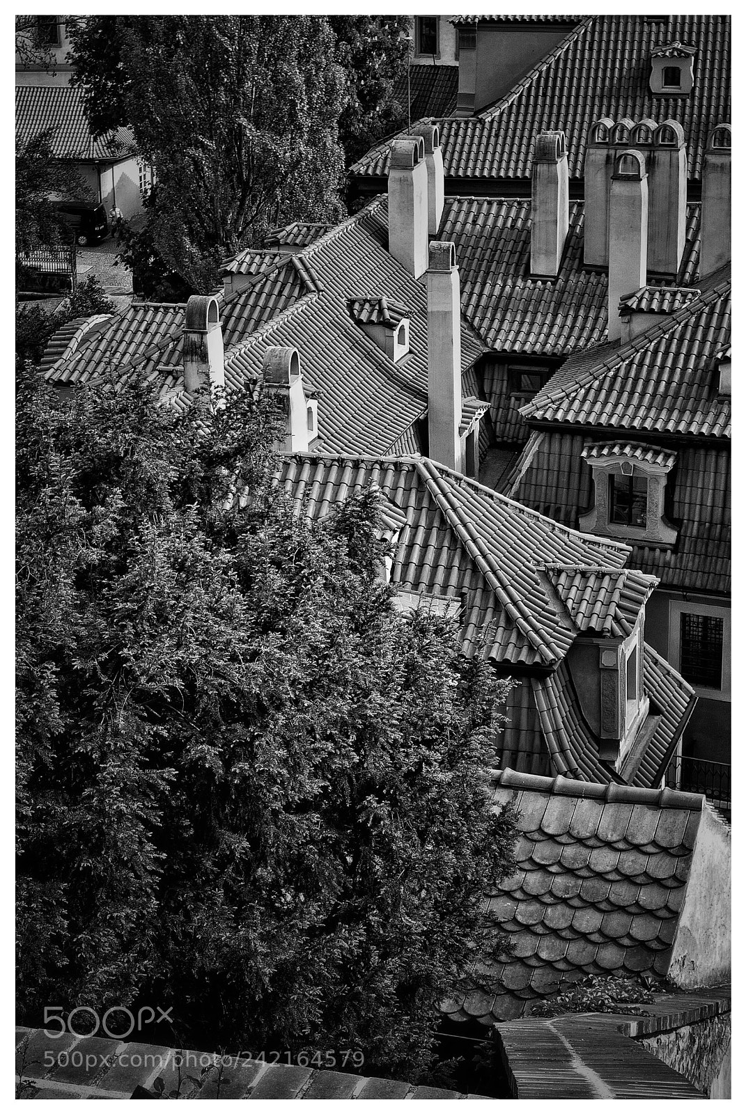 Nikon D60 sample photo. View of roofs in photography