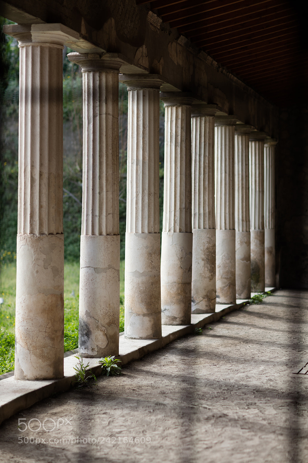 Canon EOS 5DS R sample photo. Column in villa oplontis photography