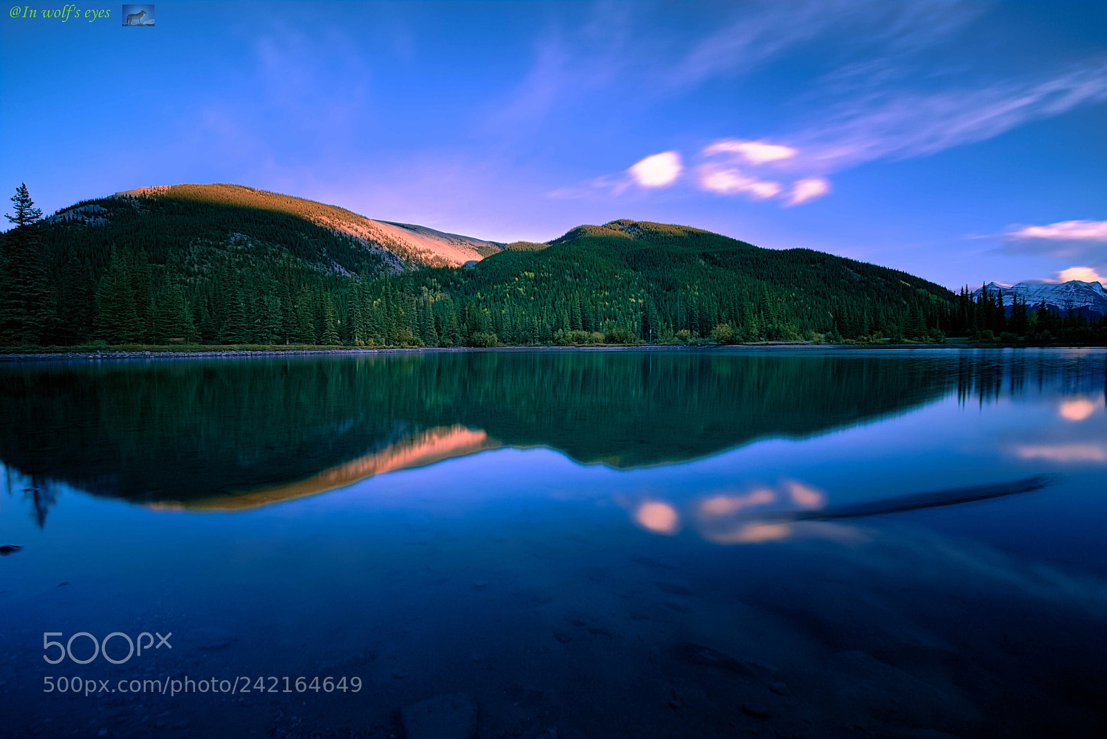 Nikon D810 sample photo. Down, canada photography