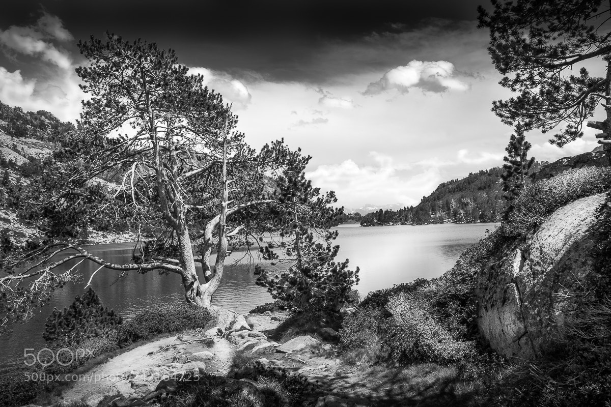 Nikon D5500 sample photo. Lake in black 4 photography