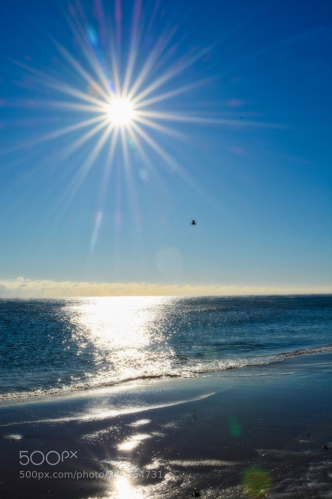 Nikon D7100 sample photo. Beach in winter photography