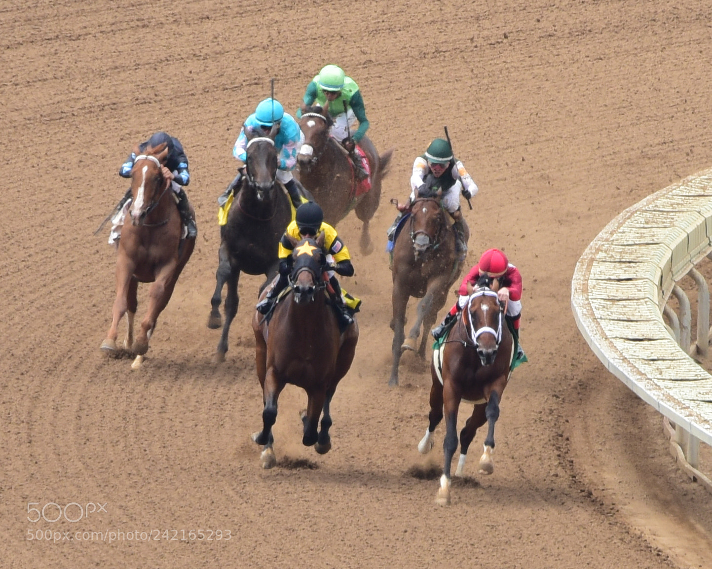 Nikon D810 sample photo. Race photography