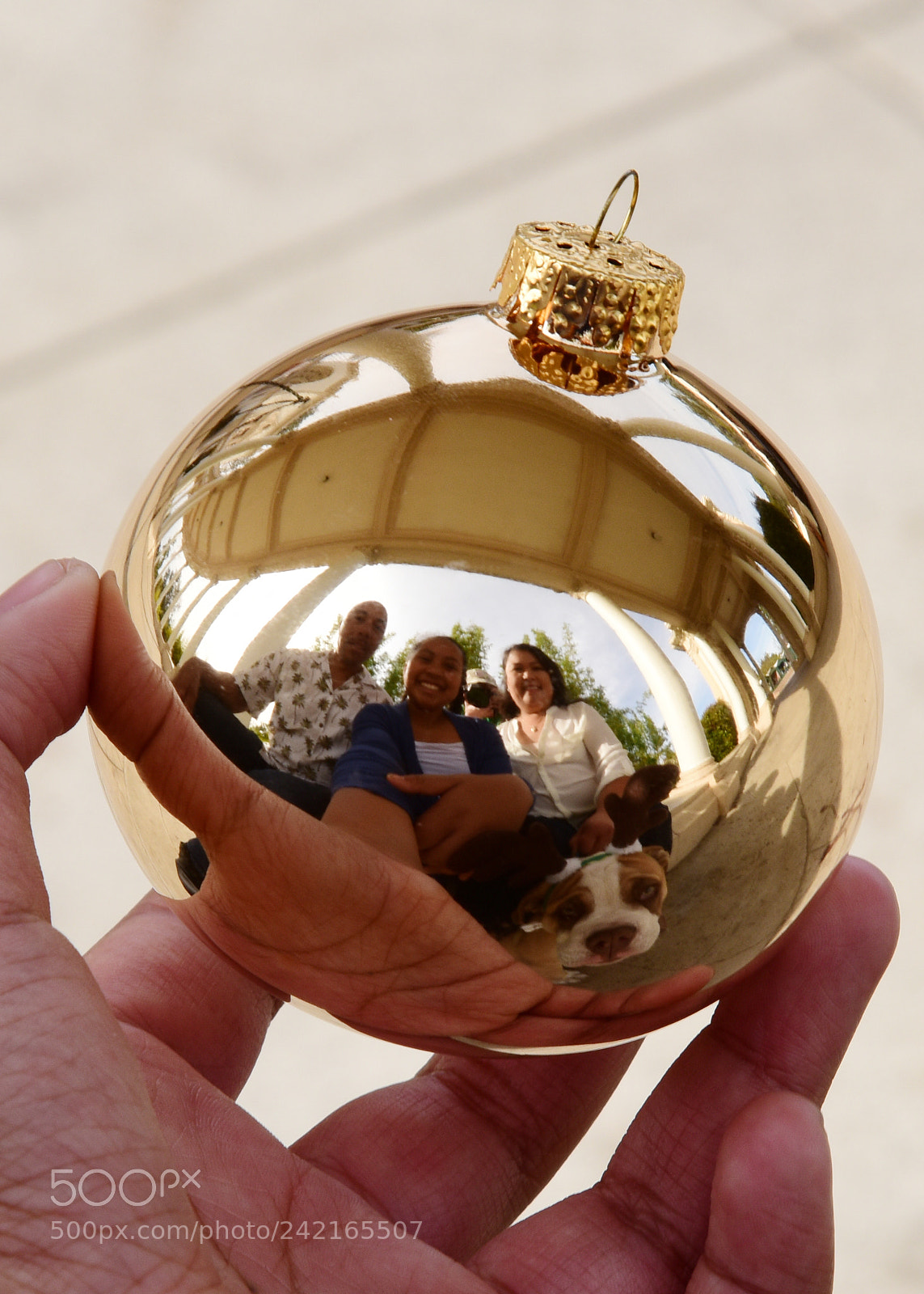 Nikon D810 sample photo. A photography