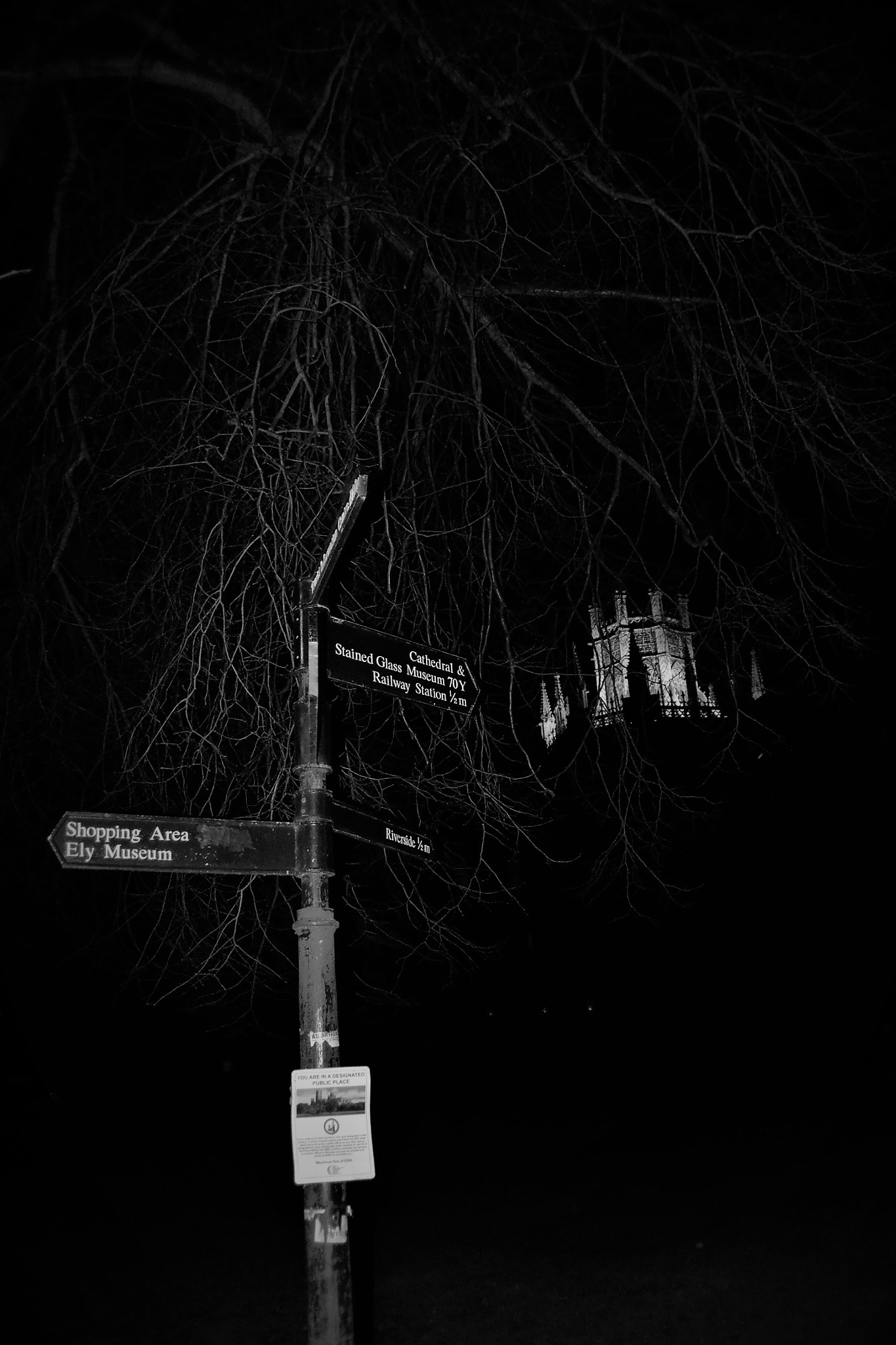 Nikon D3100 sample photo. Signpost photography