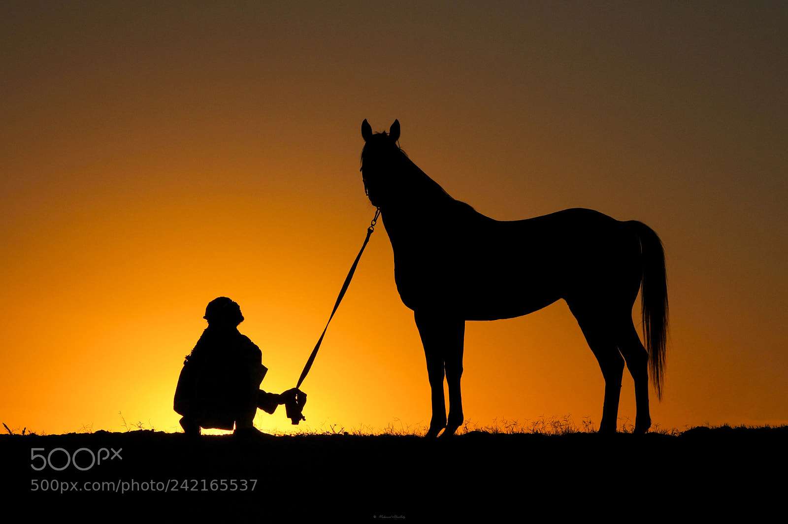 Canon EOS 60D sample photo. Silhouette photography