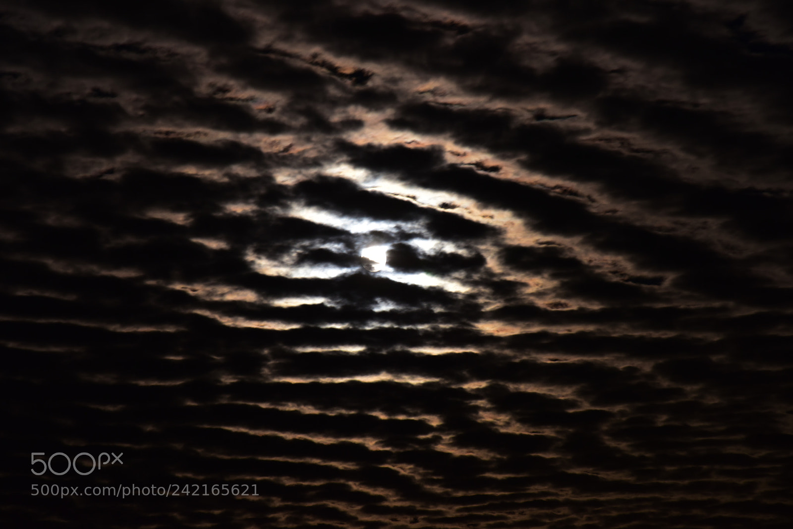 Nikon D810 sample photo. Moonrise photography