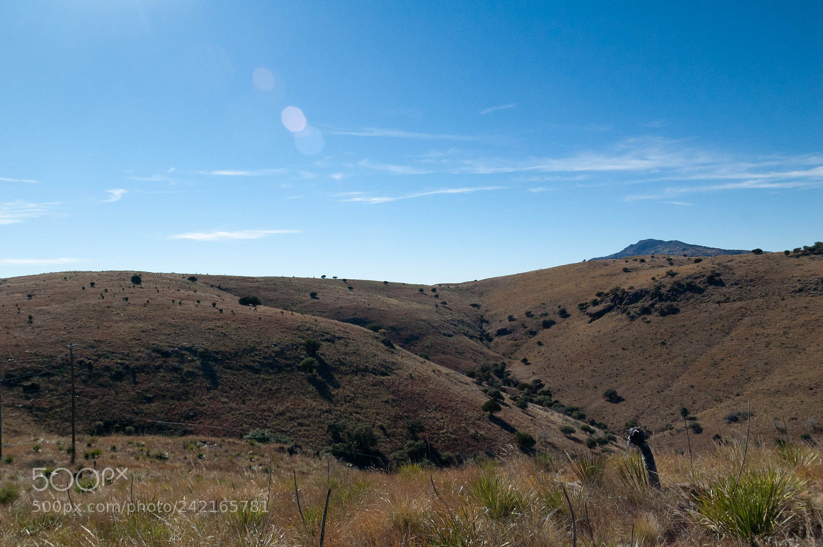 Nikon D40 sample photo. Indian lodge trail photography