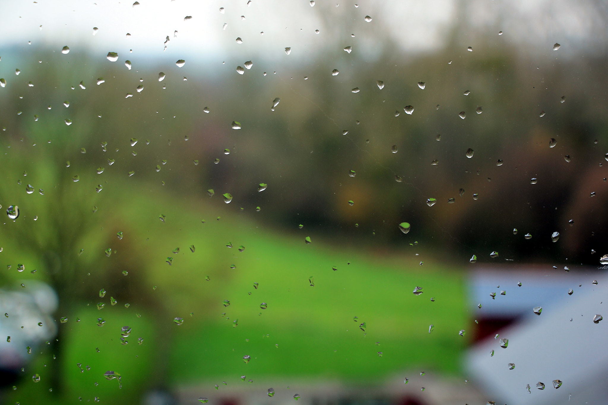 Canon EOS 550D (EOS Rebel T2i / EOS Kiss X4) sample photo. Gouttes photography