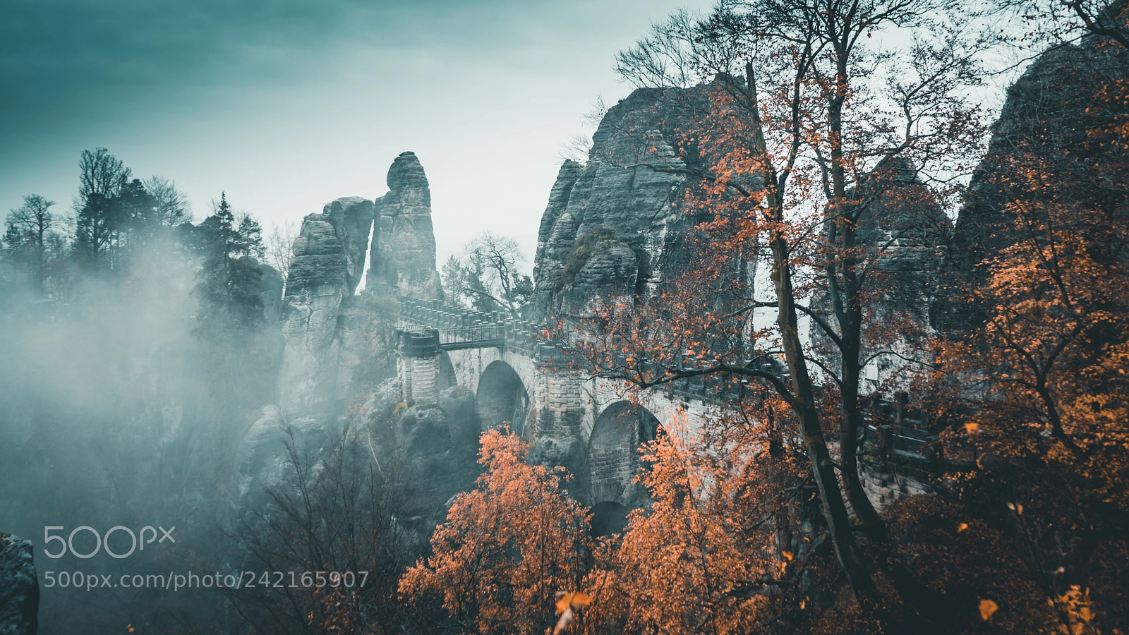 Sony a7 sample photo. Misty morning in saxony photography