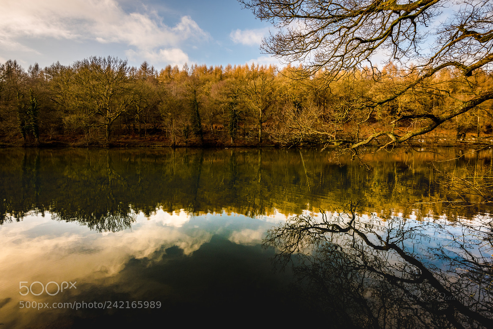 Nikon D810 sample photo. Lake photography