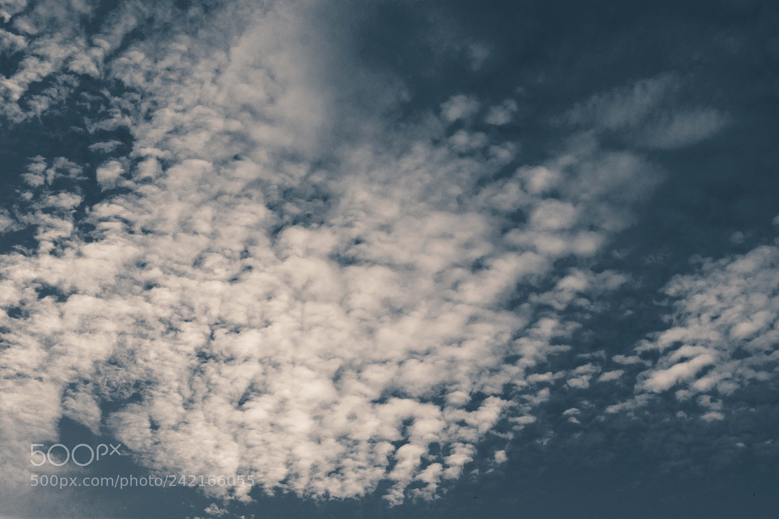 Nikon D7200 sample photo. Dovorian sky photography