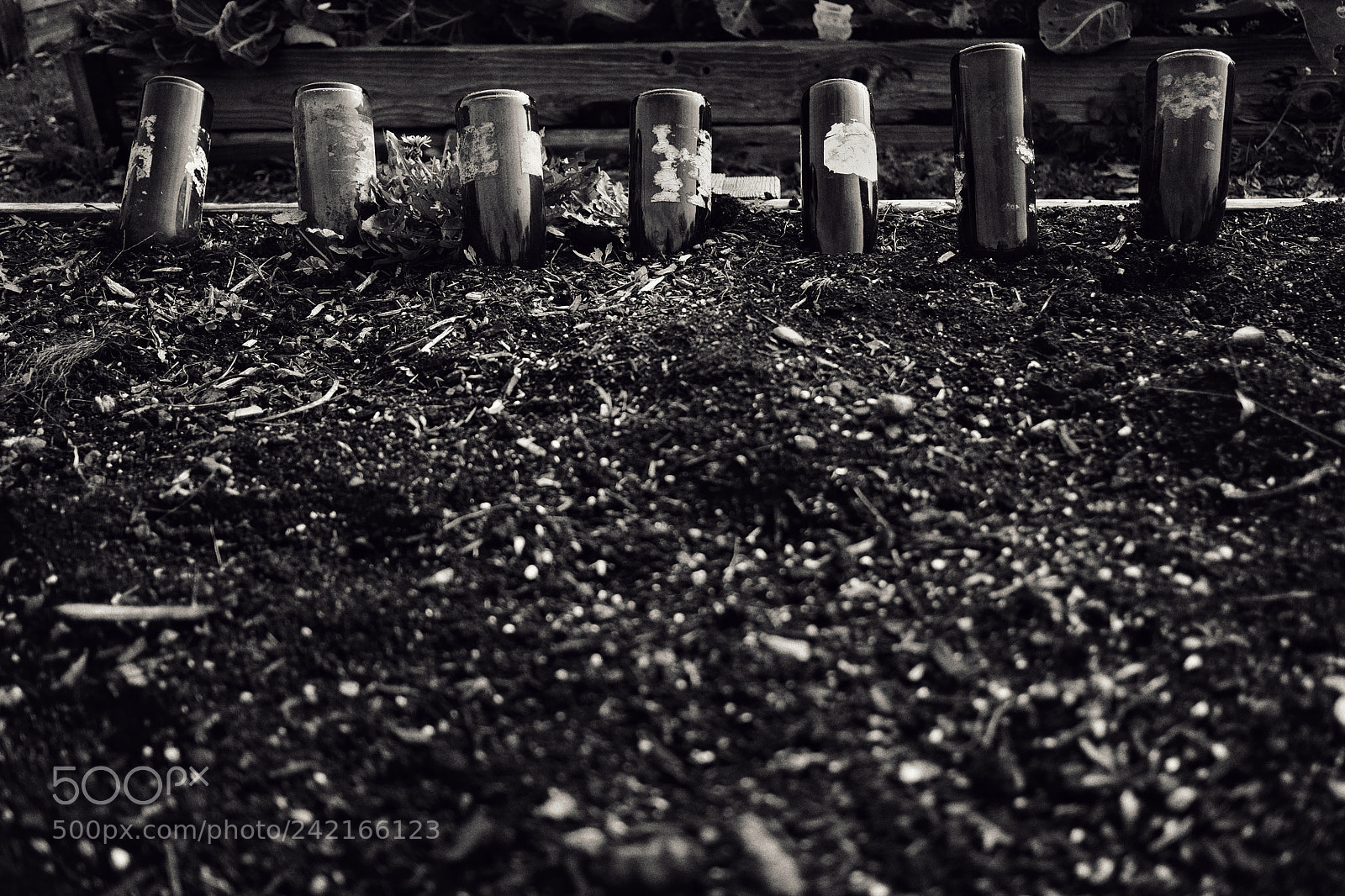 Fujifilm X-Pro1 sample photo. “dip” drink in peace photography