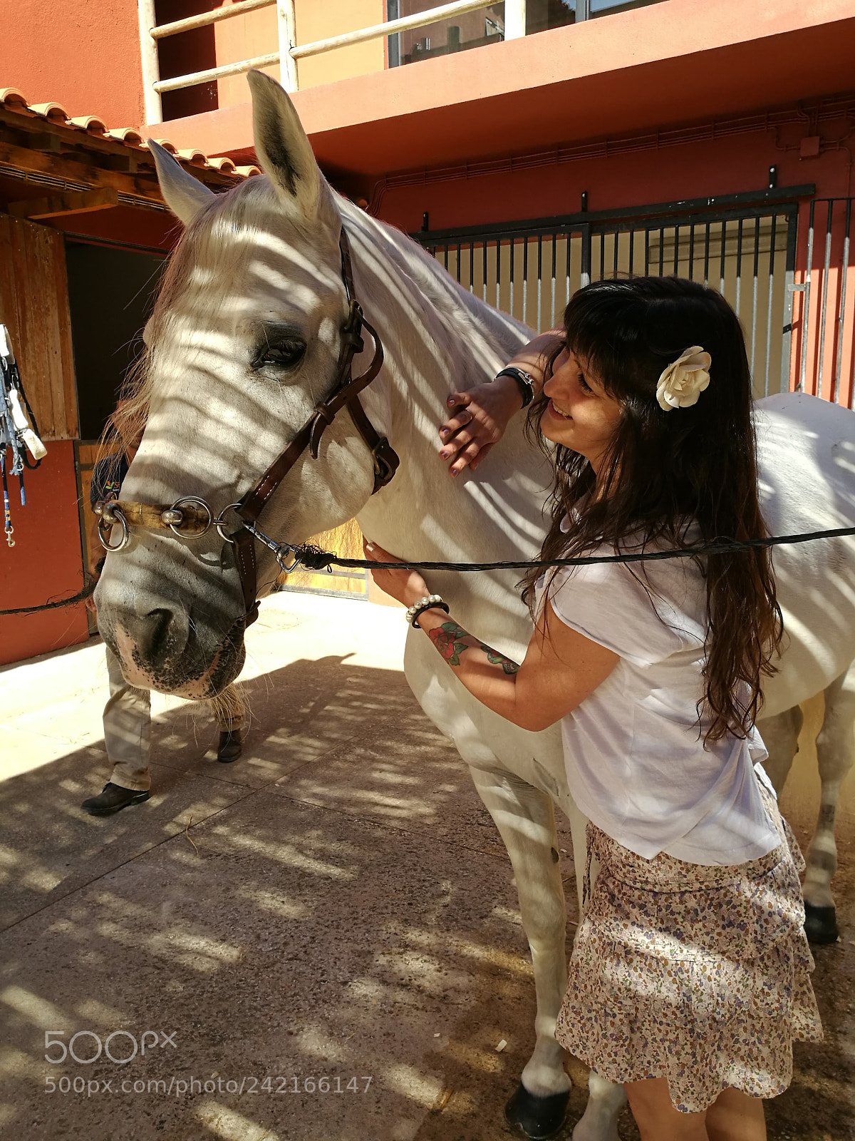 HUAWEI P9 sample photo. Horse and model. photography
