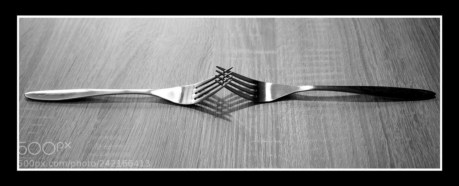 Canon EOS 550D (EOS Rebel T2i / EOS Kiss X4) sample photo. Fourchettes photography