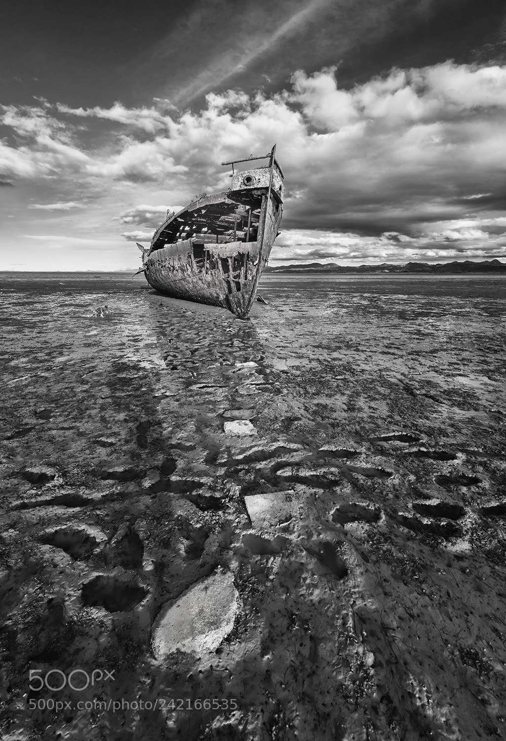 Nikon D810 sample photo. Black and white photography