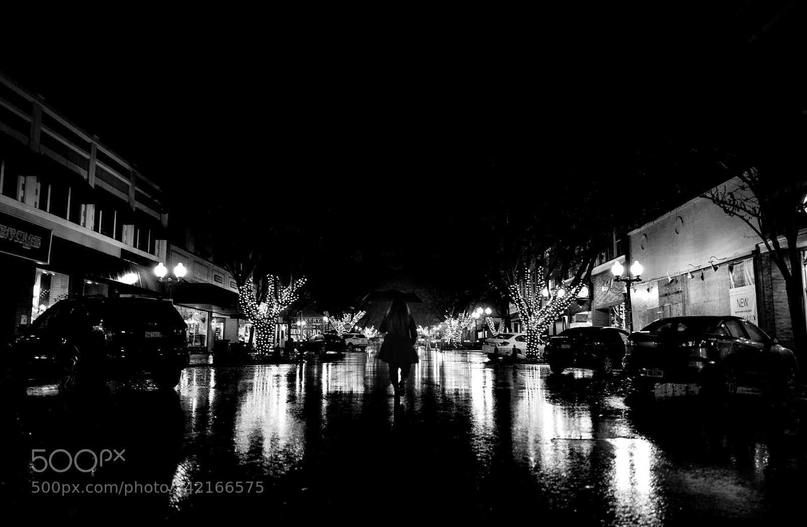 Leica Q (Typ 116) sample photo. Walking alone in rain photography
