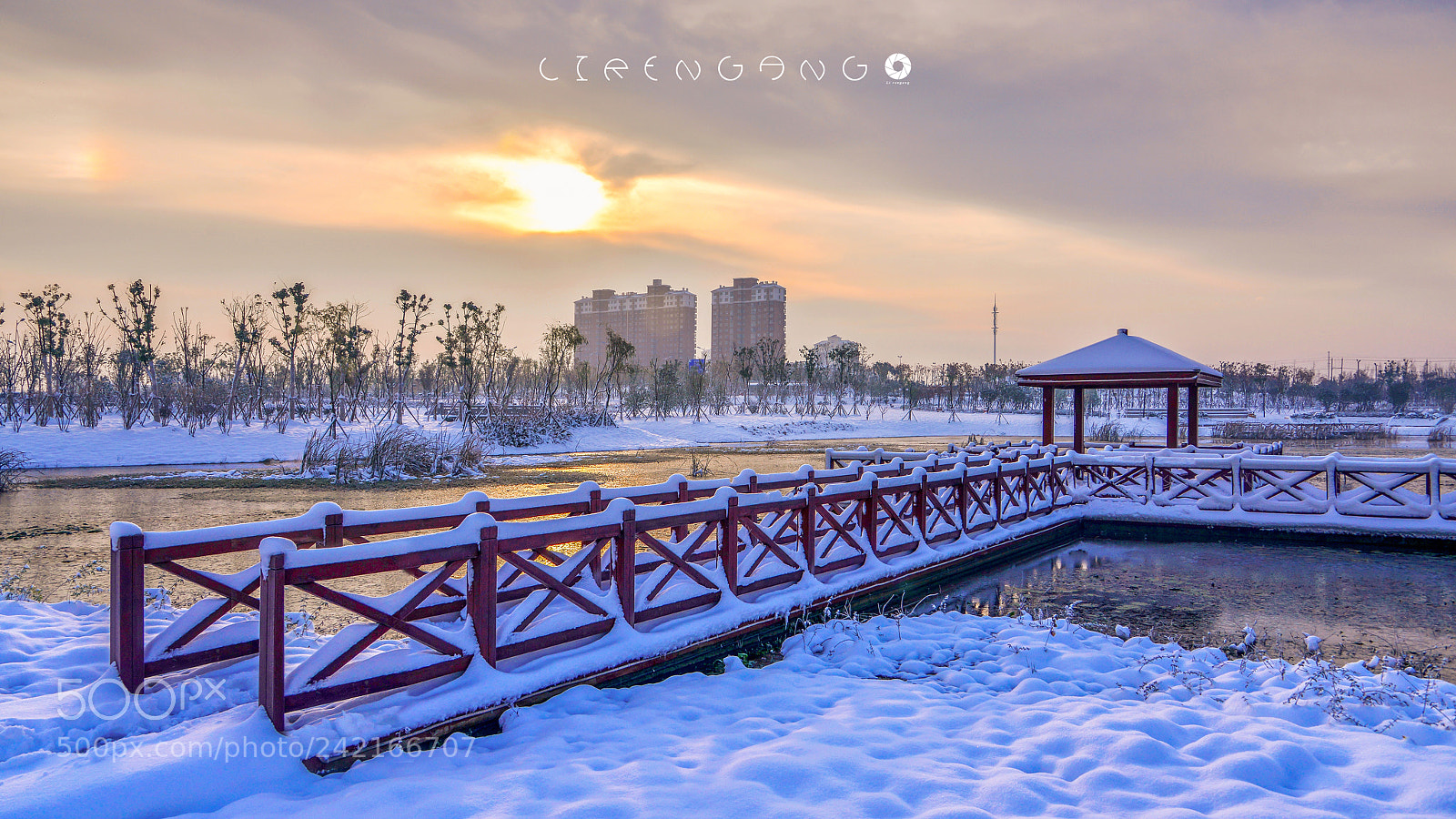 Nikon D800 sample photo. Untitled photography