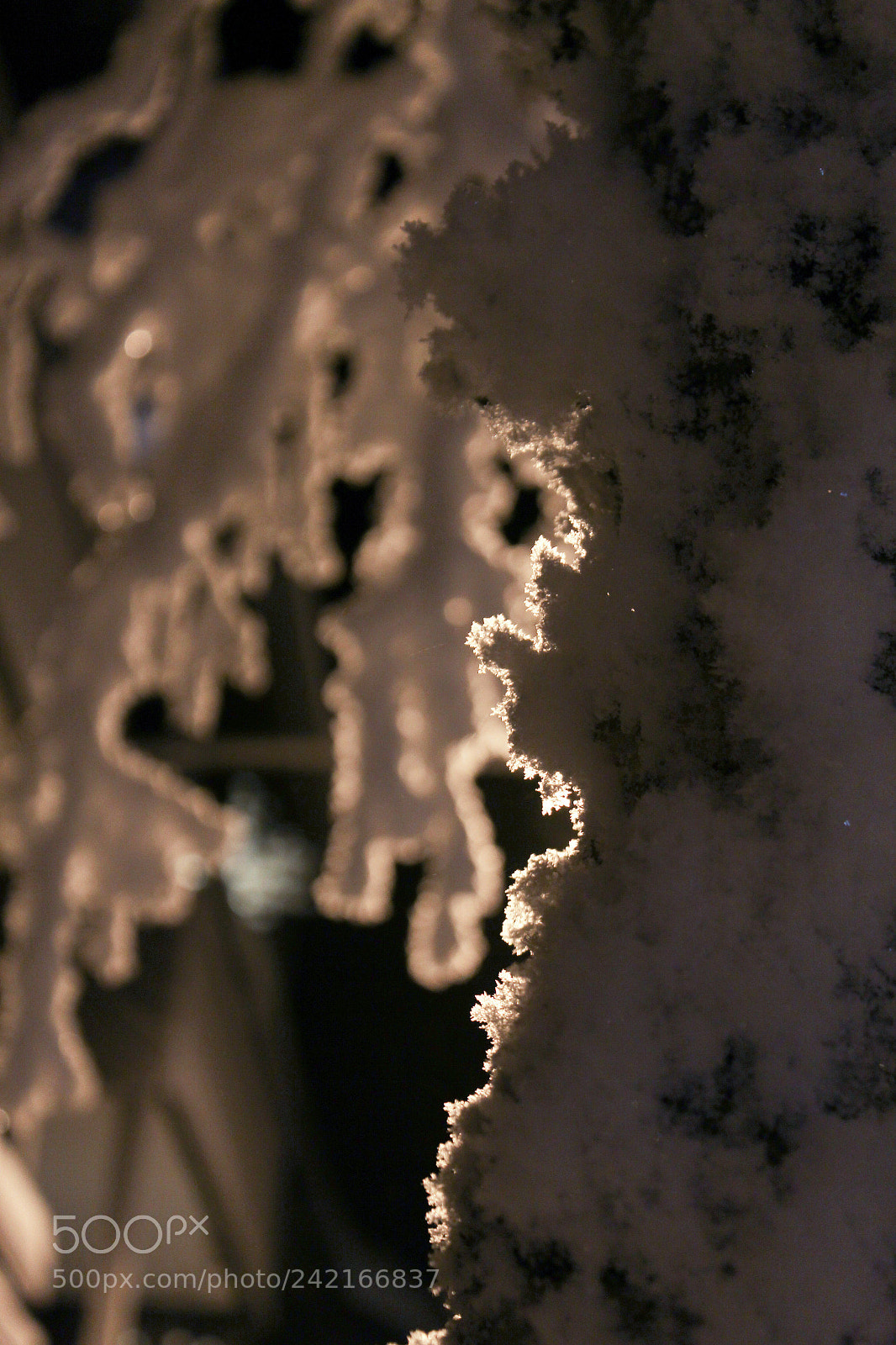 Canon EOS 1300D (EOS Rebel T6 / EOS Kiss X80) sample photo. Fog made frozen beauty.. photography