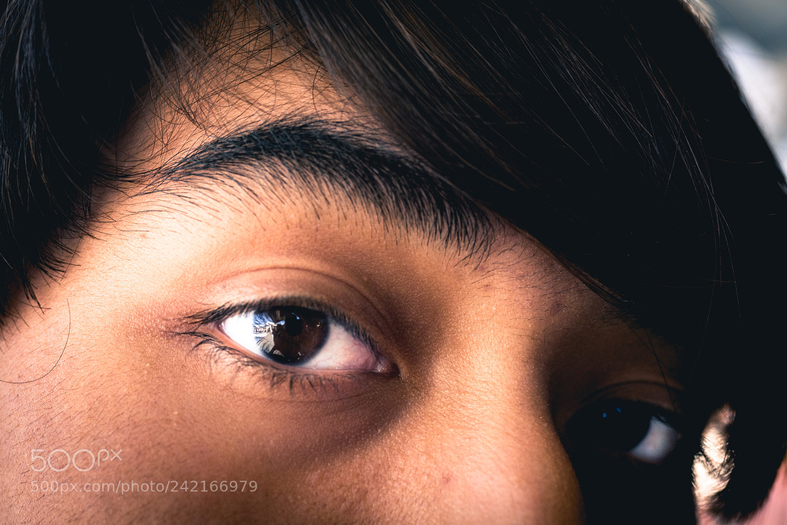 Nikon D810 sample photo. Eyes photography