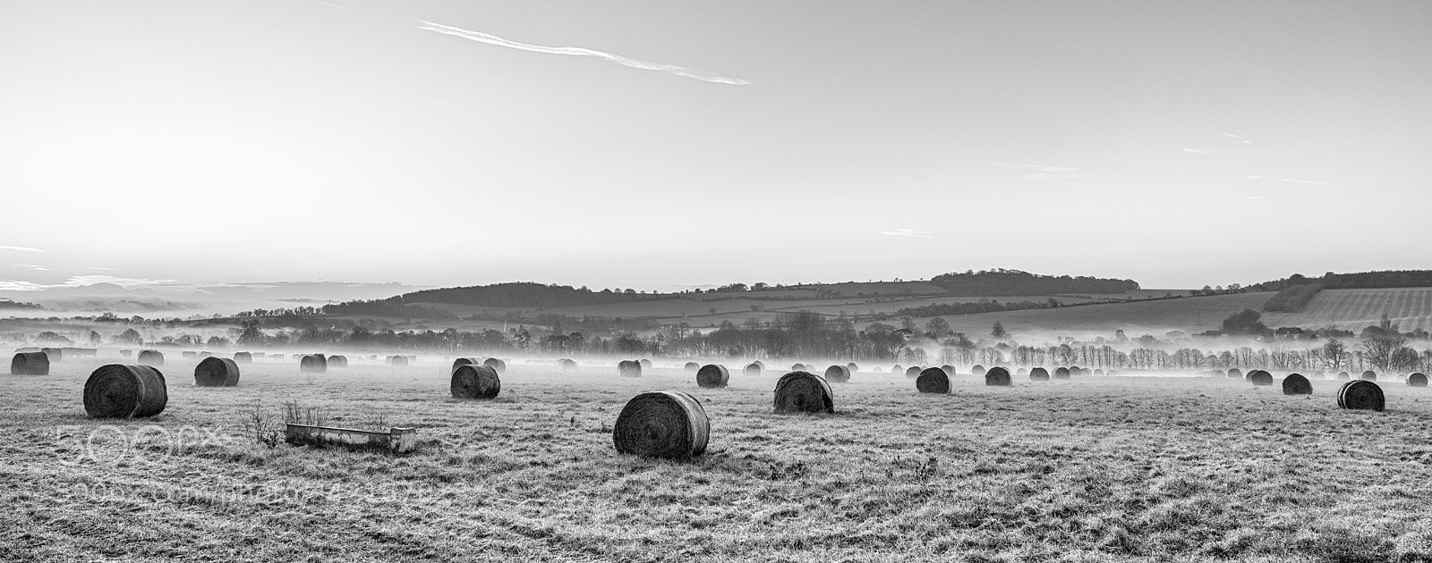 Nikon D810 sample photo. Rising mist photography
