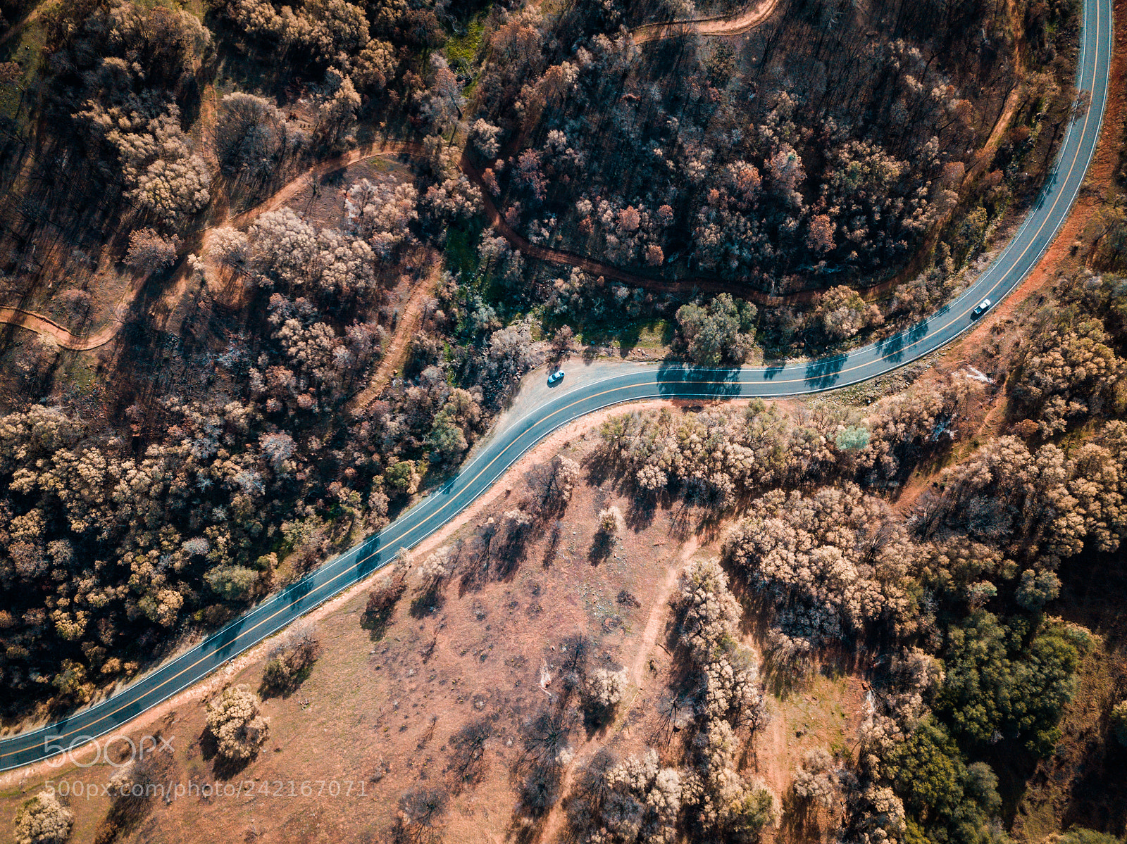 DJI FC220 sample photo. Color sierra photography