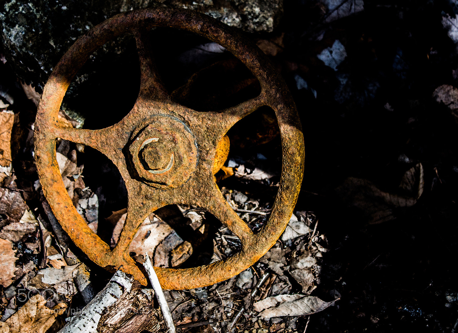 Canon EOS 100D (EOS Rebel SL1 / EOS Kiss X7) sample photo. Rustic wheel photography