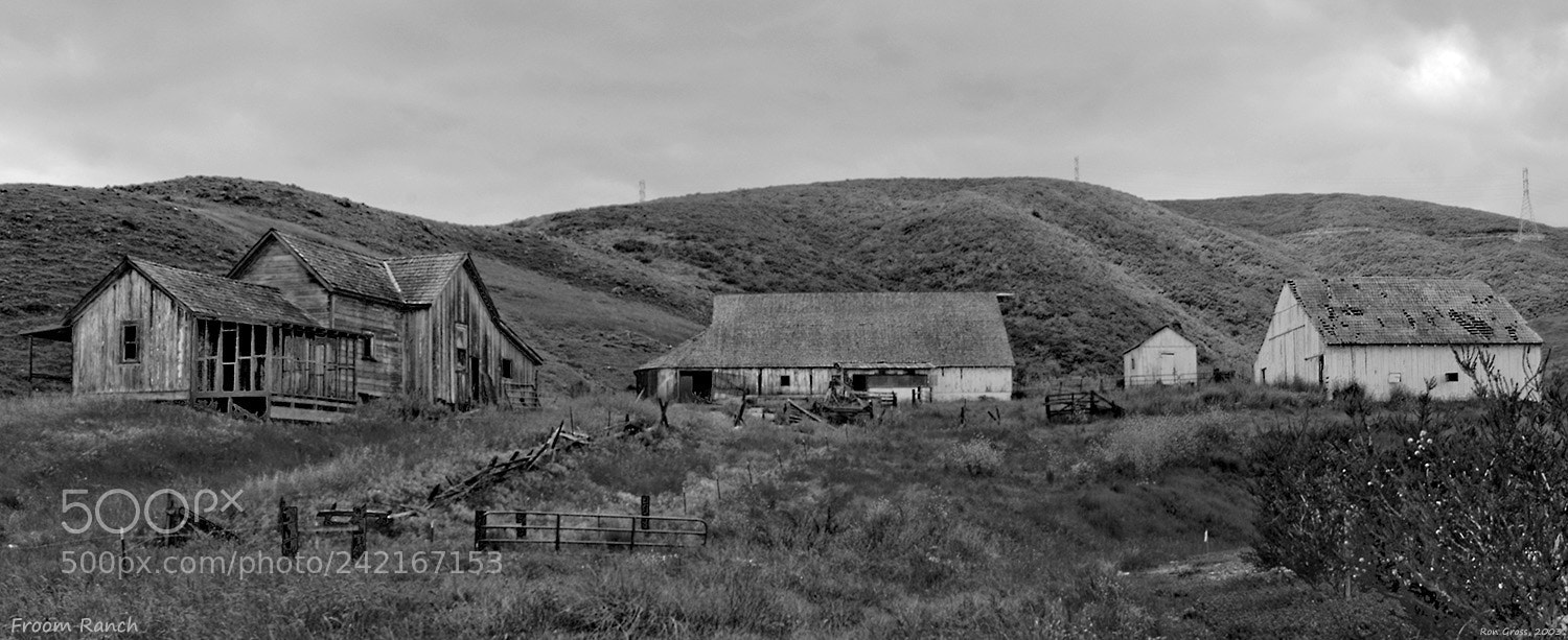 Nikon D100 sample photo. Froomranch photography