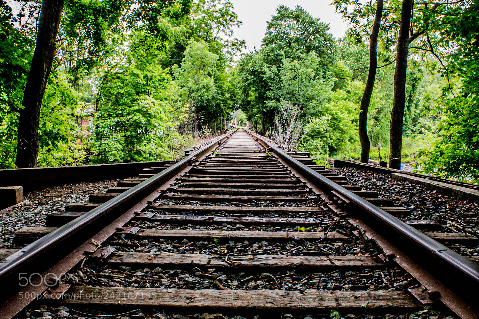 Canon EOS 100D (EOS Rebel SL1 / EOS Kiss X7) sample photo. Tracks to nowhere photography