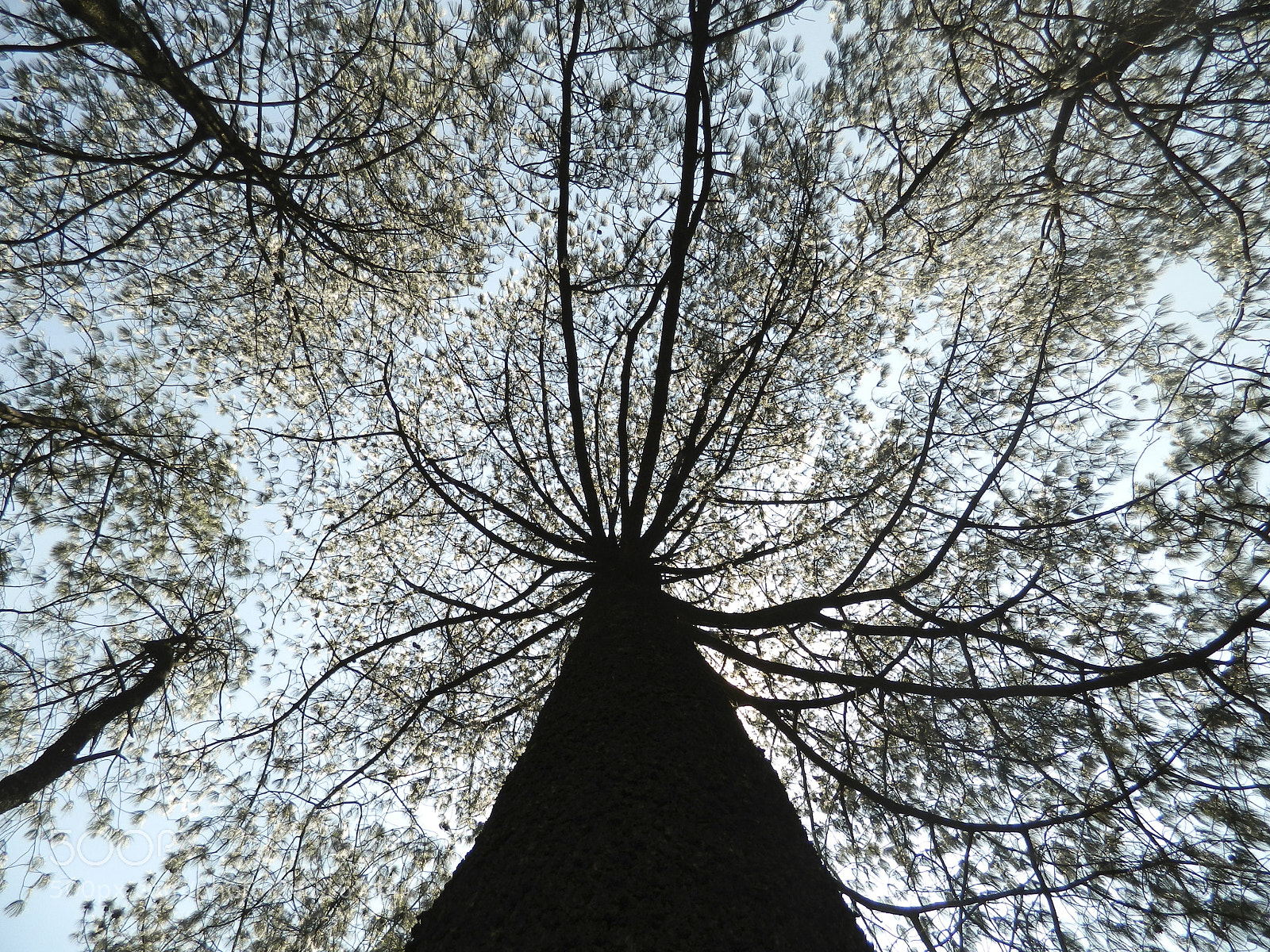 Nikon COOLPIX L310 sample photo. Under the shadow photography