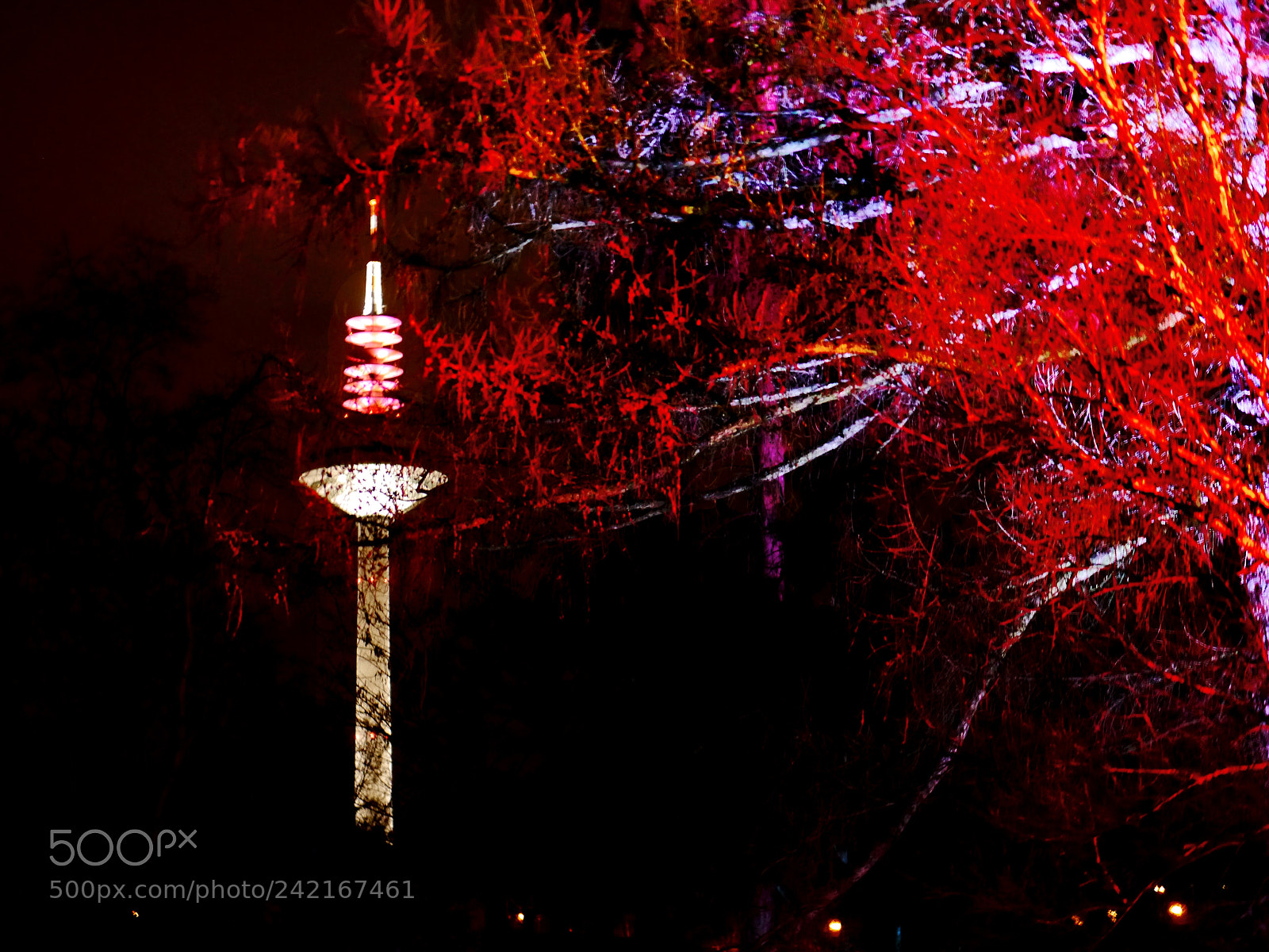 Panasonic Lumix DMC-G5 sample photo. Cherry red photography