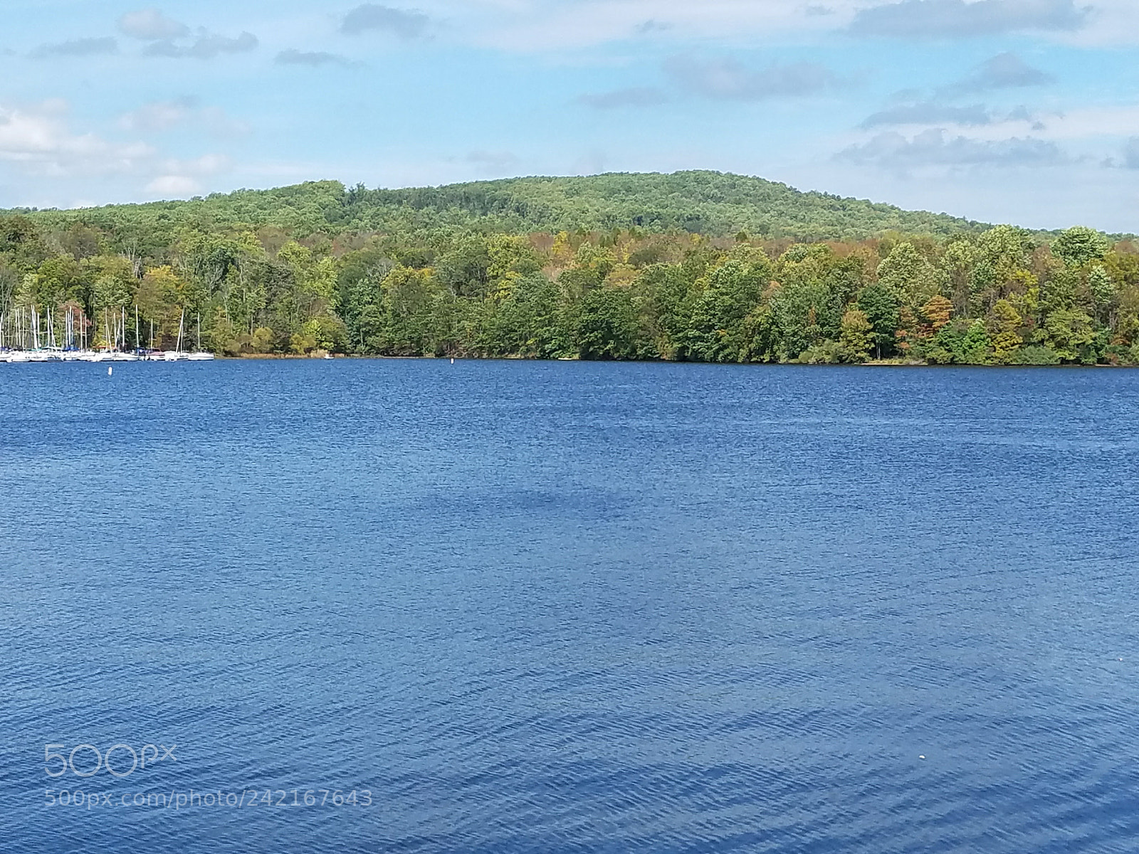 Samsung Galaxy S7 Edge sample photo. Lake nockamixon photography