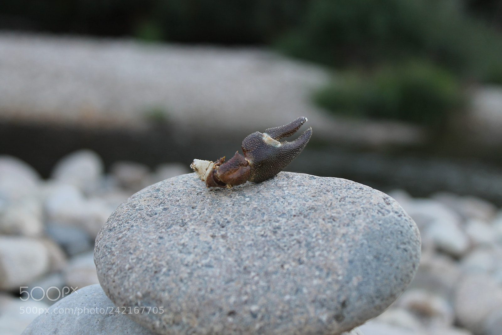 Canon EOS 1100D (EOS Rebel T3 / EOS Kiss X50) sample photo. Rocky photography